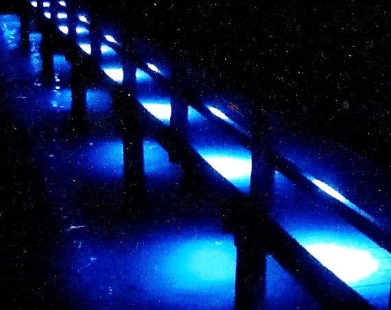 Illuminated walkway with blue lights creating a serene nighttime atmosphere.