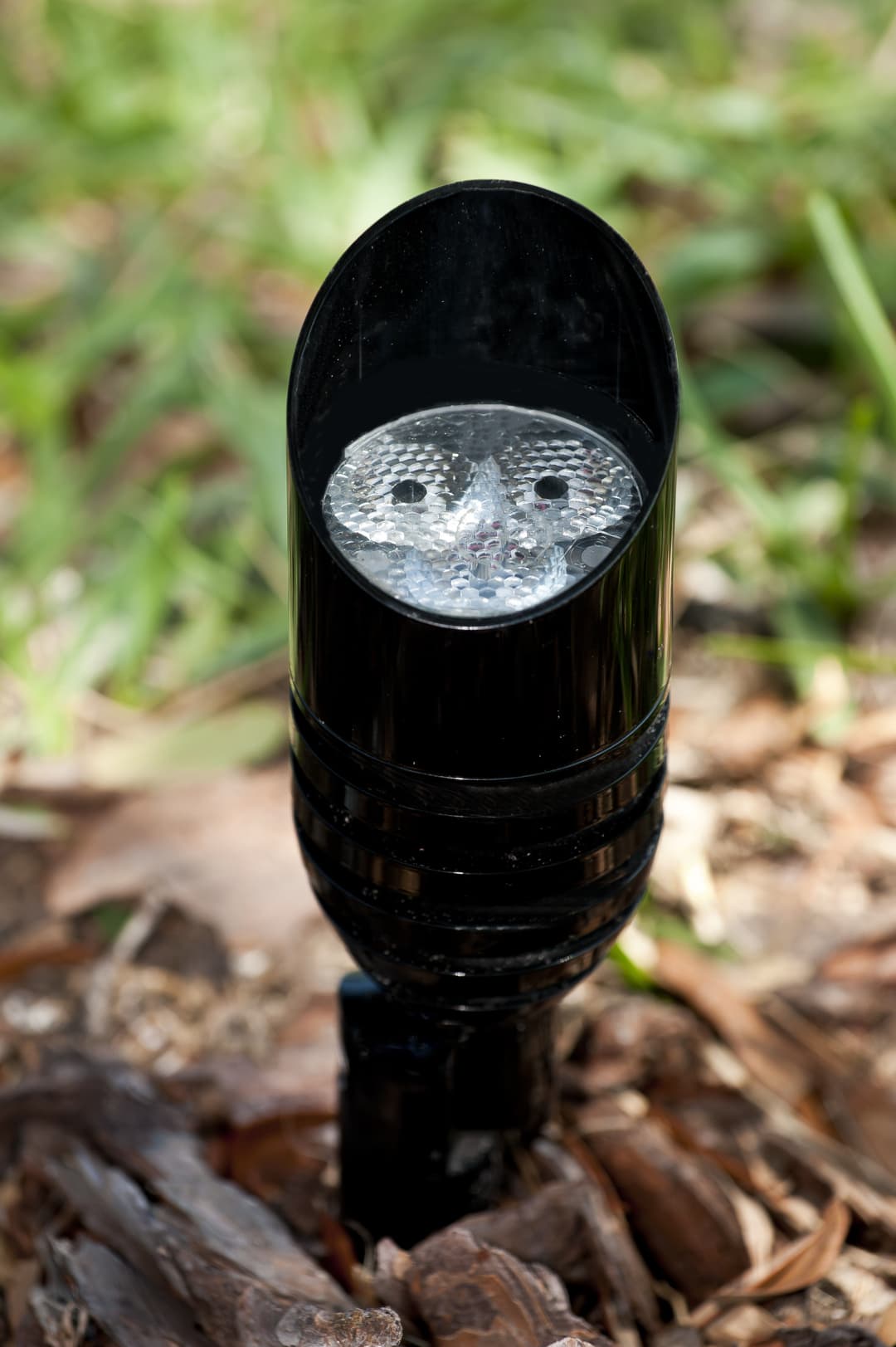 Black LED garden spotlight on mulch, illuminating surrounding greenery.