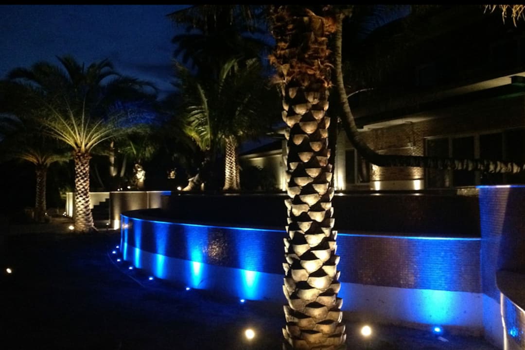 Illuminated palm trees and a modern poolside at night with blue lighting.
