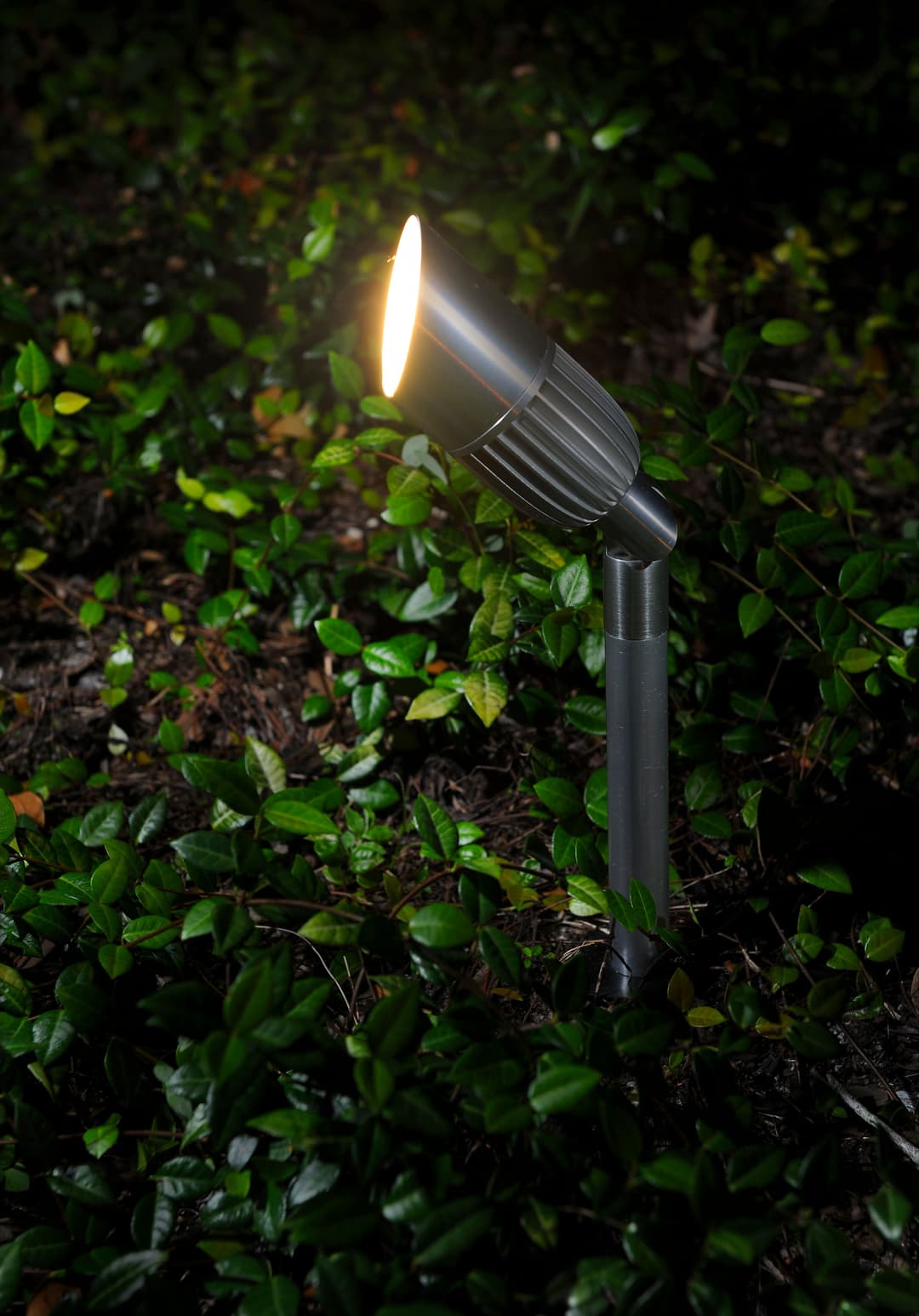 Outdoor landscape lighting on a silver fixture illuminating lush green foliage at night.