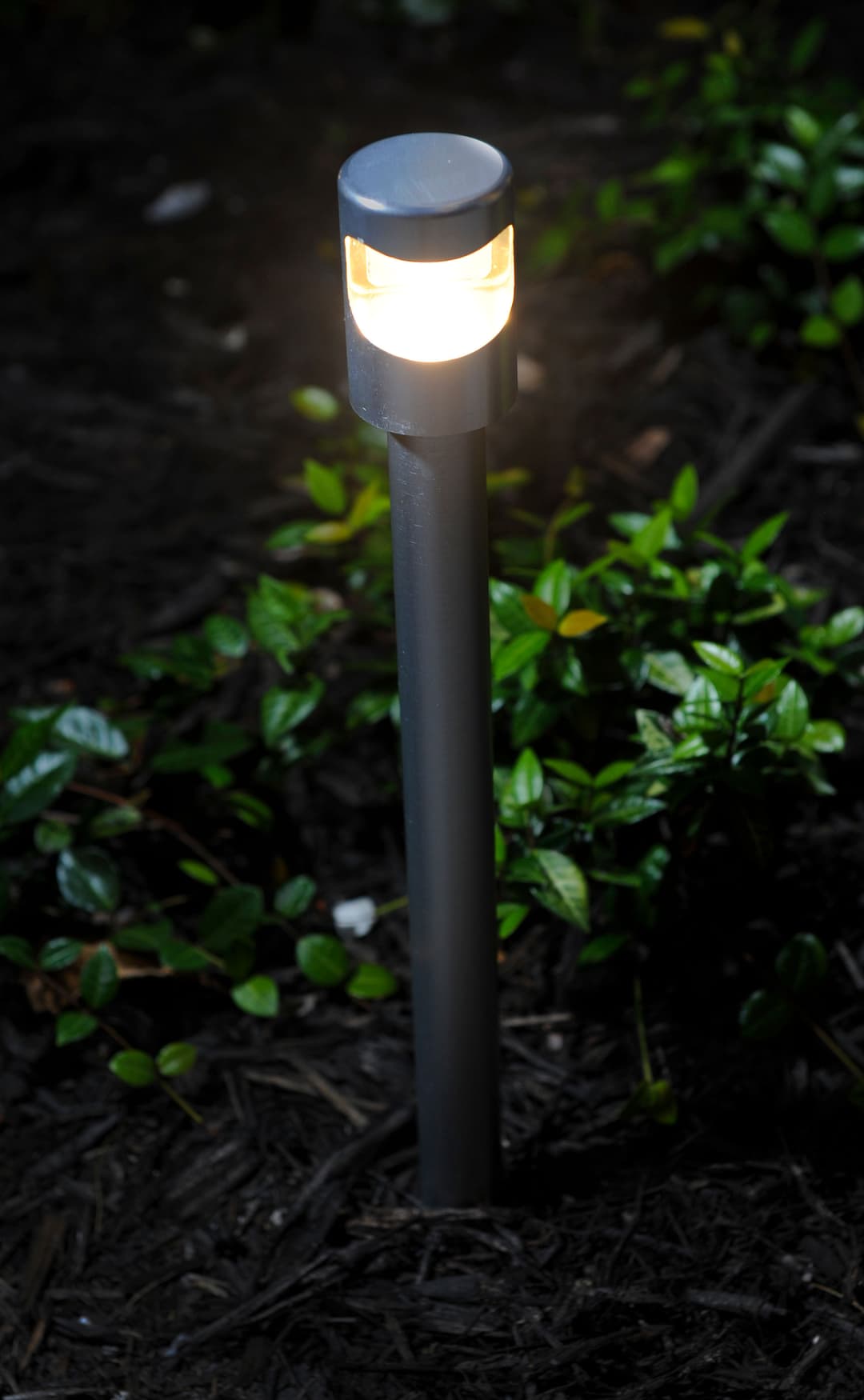 Outdoor garden light glowing at night surrounded by green foliage and mulch.