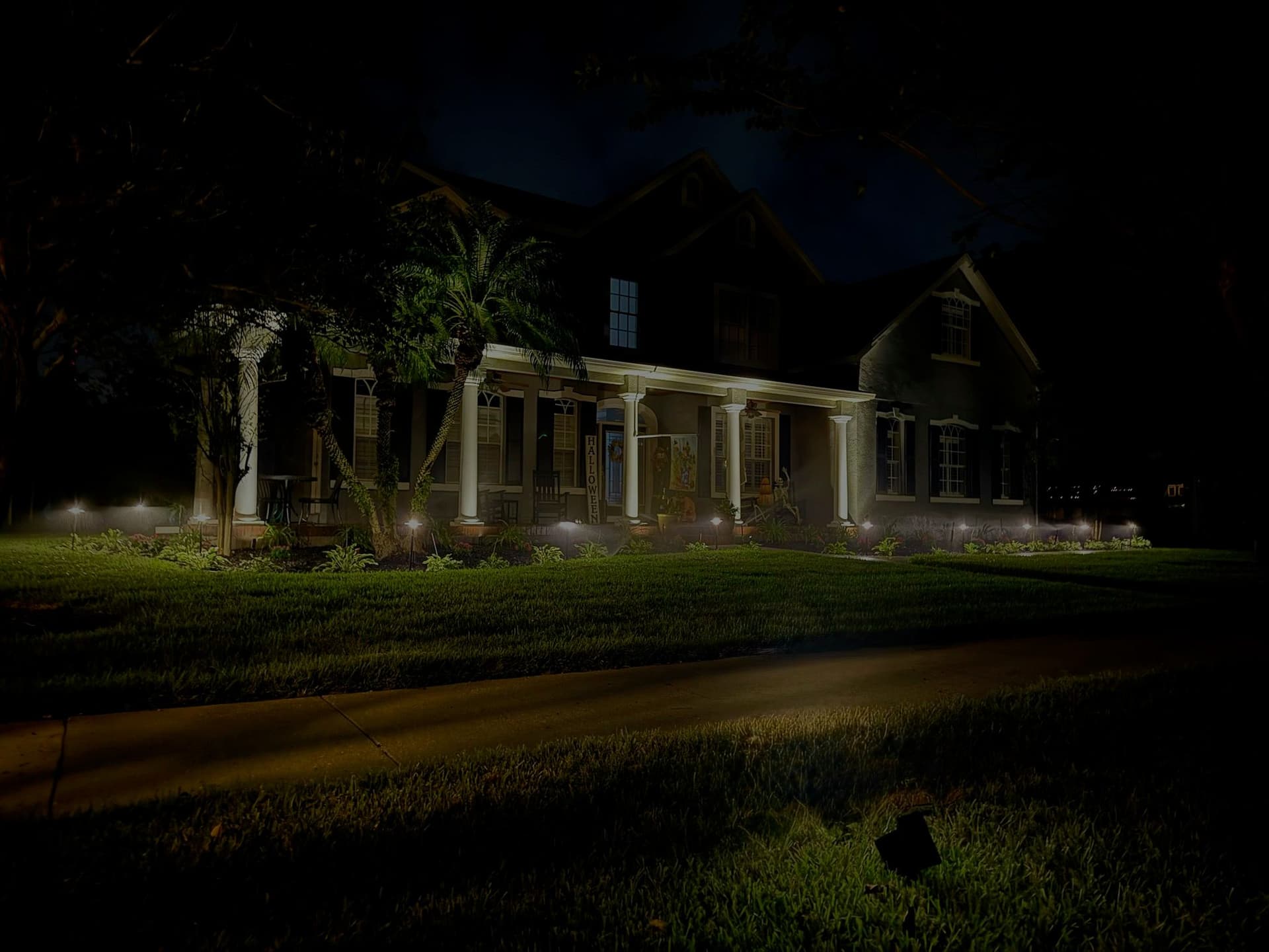 Outdoor Lighting Magic in Winter Garden image