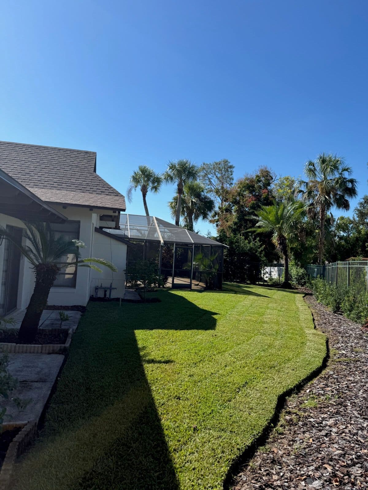 Bay Hill FL Landscaping Project Bringing Tropical Vibes Home image