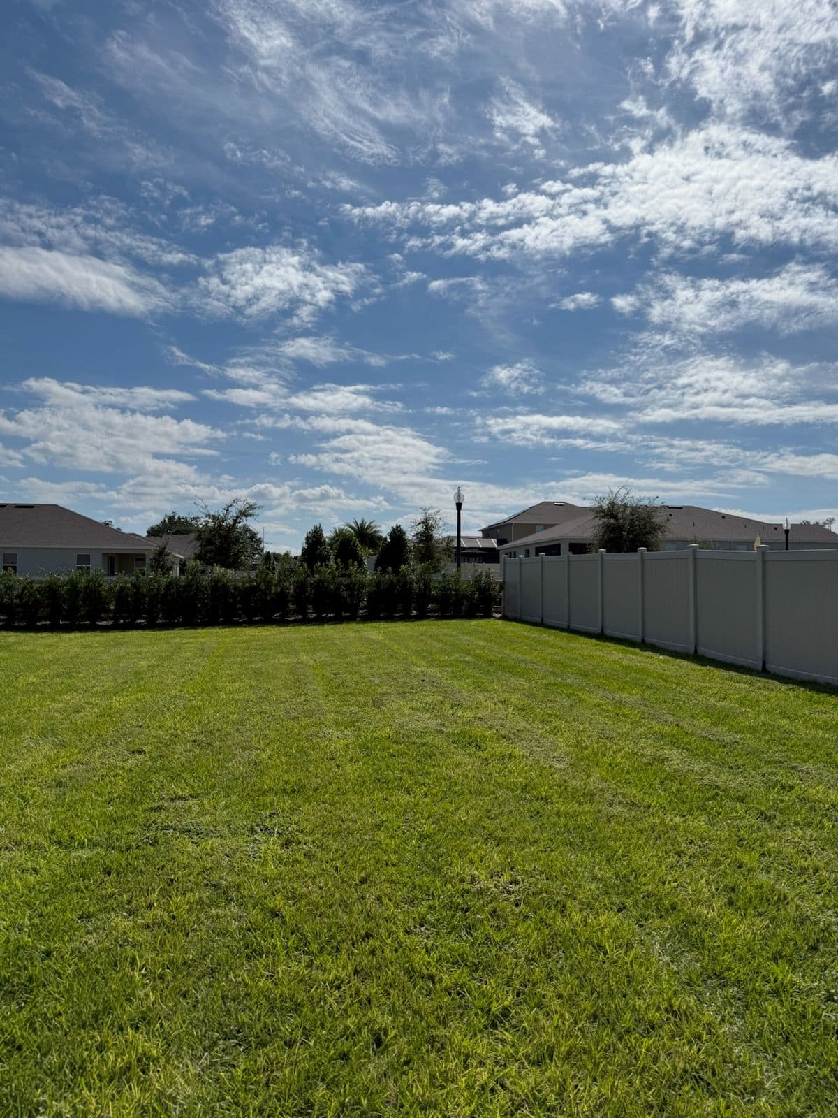Backyard Makeover in Winter Garden FL