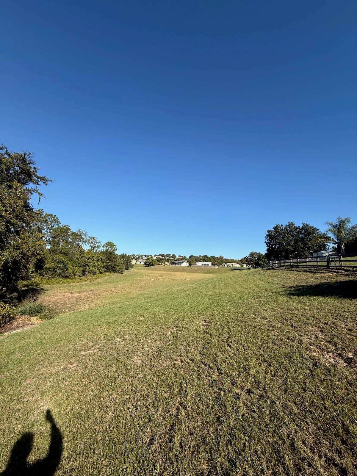 Project Central Florida's Lush Green Oasis image