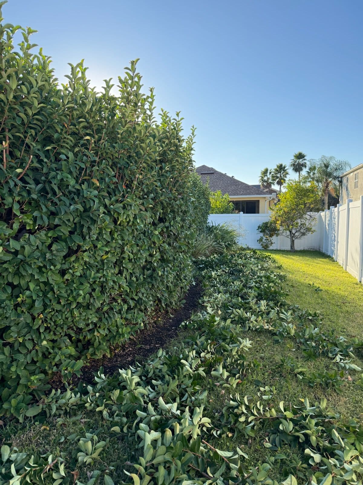 Project Garden Trim Services in Winter Garden image