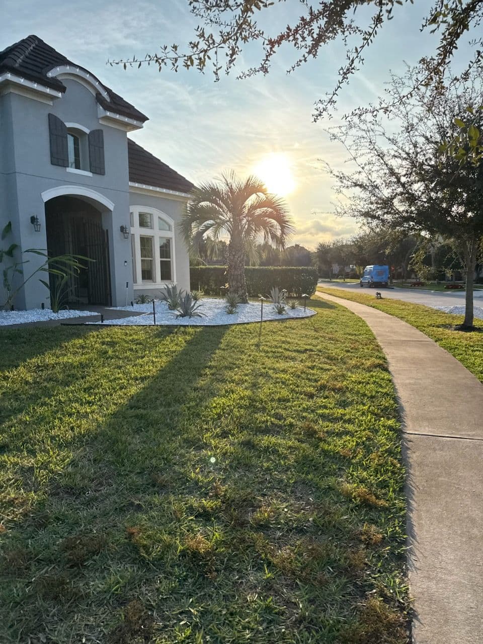 Project Stunning Sunset Landscaping Design in Windermere FL image