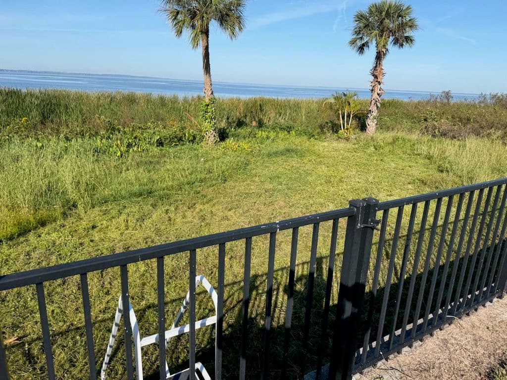 Project Lakefront Land Clearing in Winter Garden Doc image