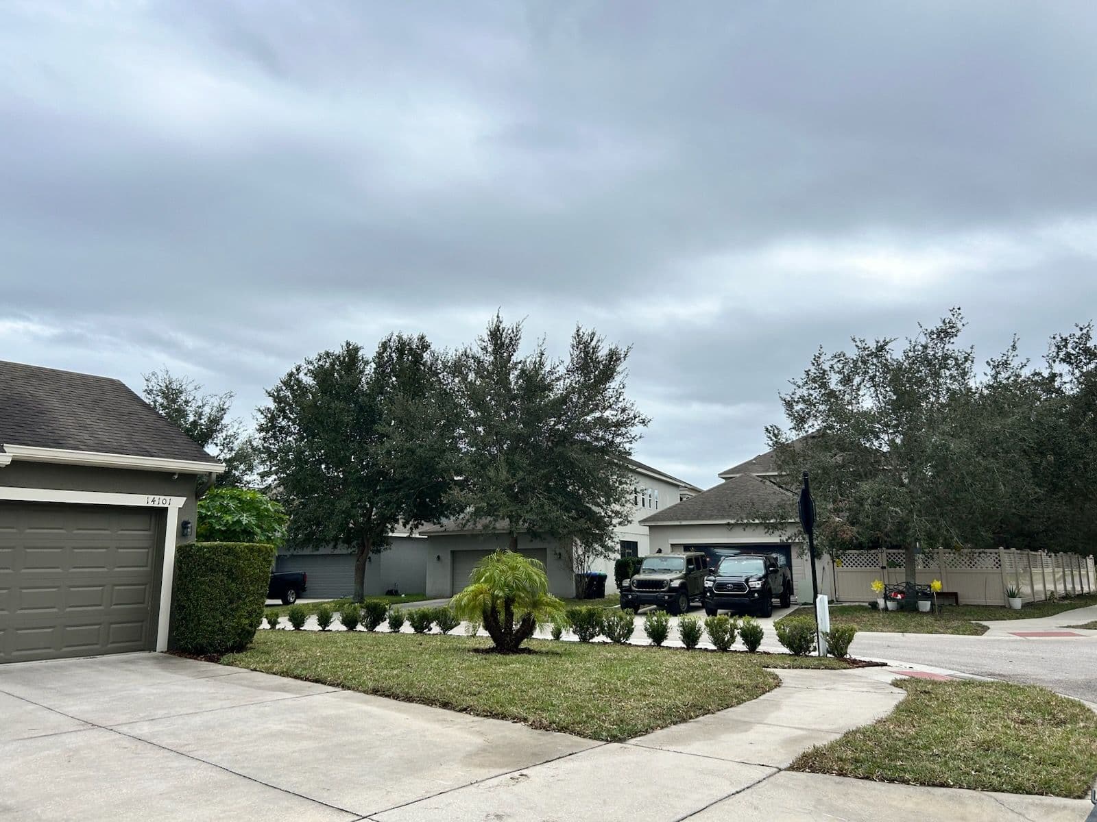 New Lush Sod Installation in Windermere image