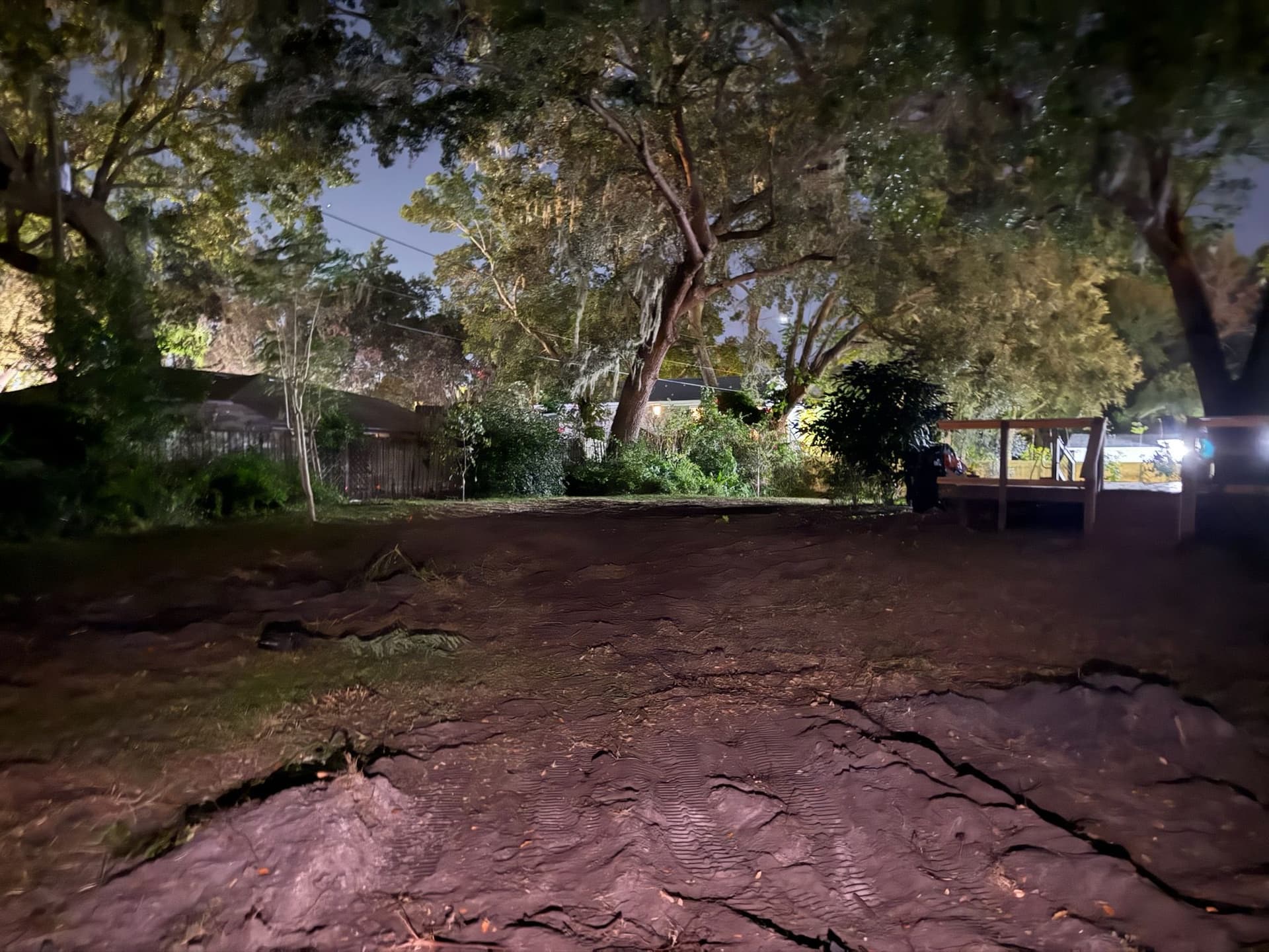 Glowing Nighttime Transformation in Winter Garden image