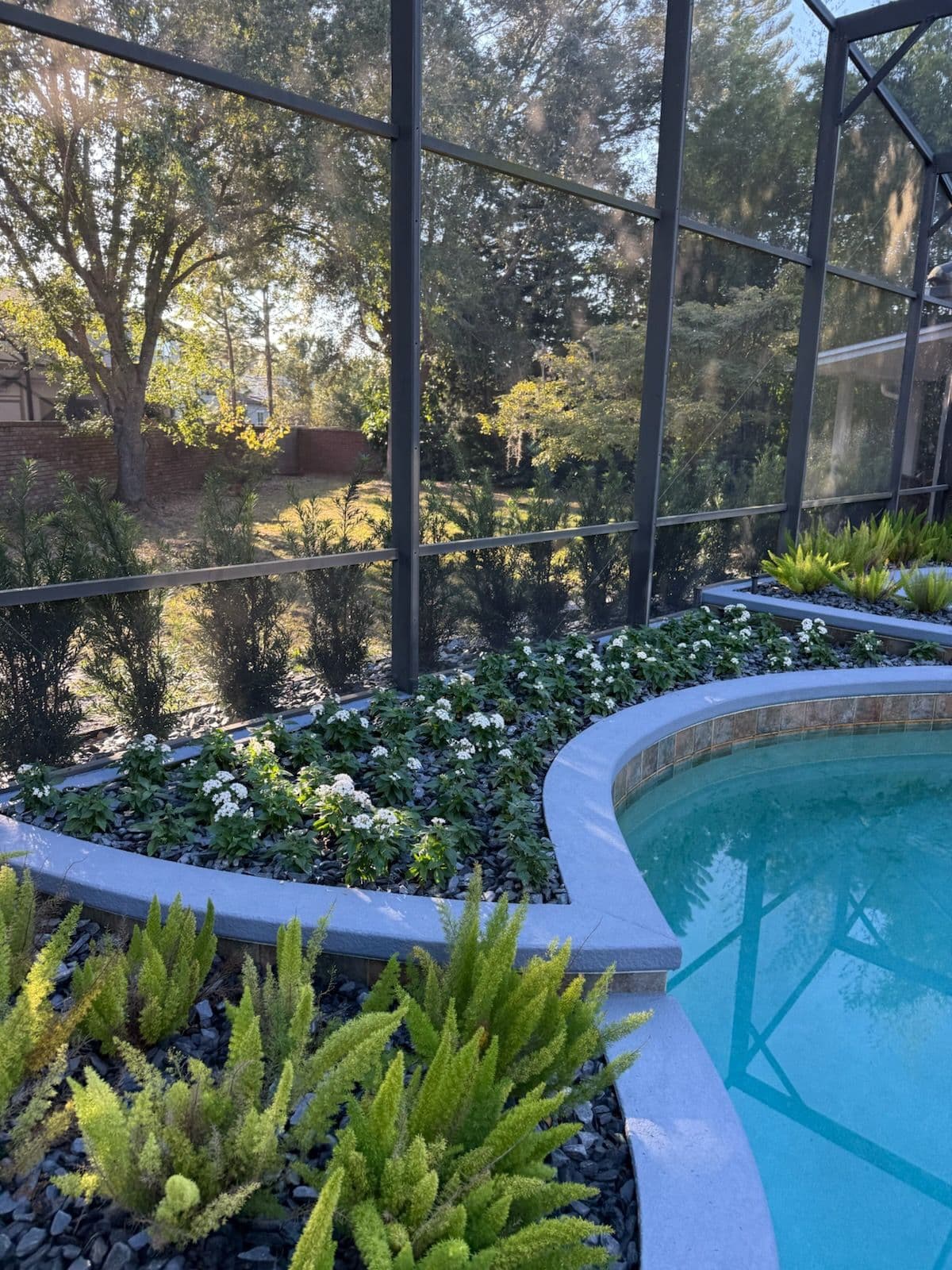 Project Poolside Paradise at Home image