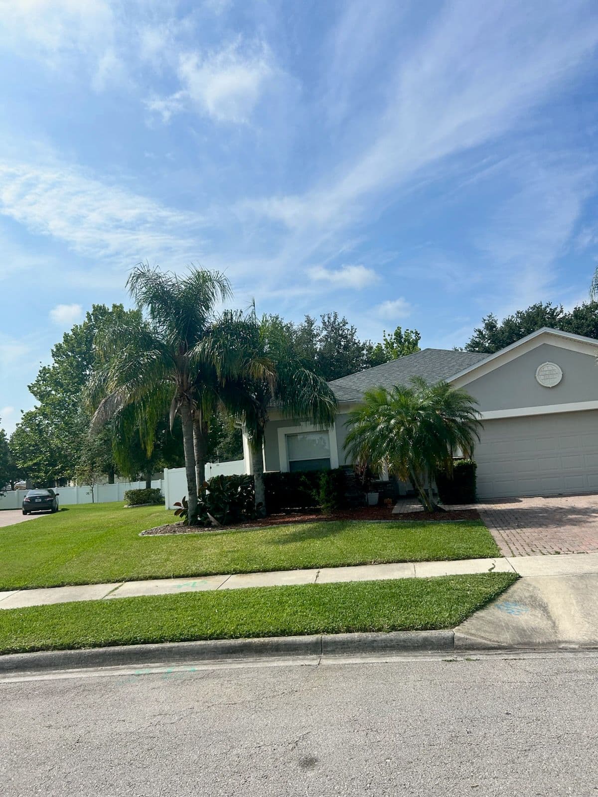 Project Transform Your Yard with Tropical Touch image