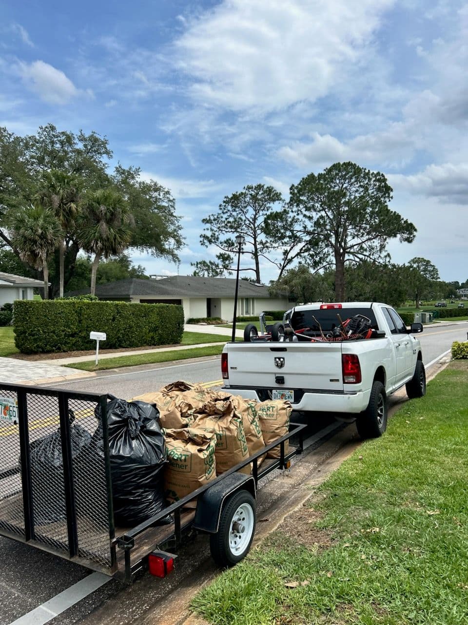 Efficient Land Clearing in Bay Hill Florida image