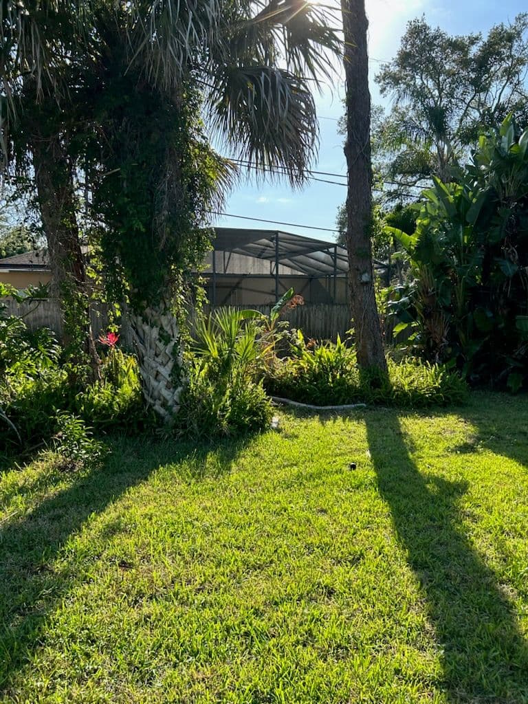 Project Thriving Tropical Oasis Lawn in Edgewater FL image