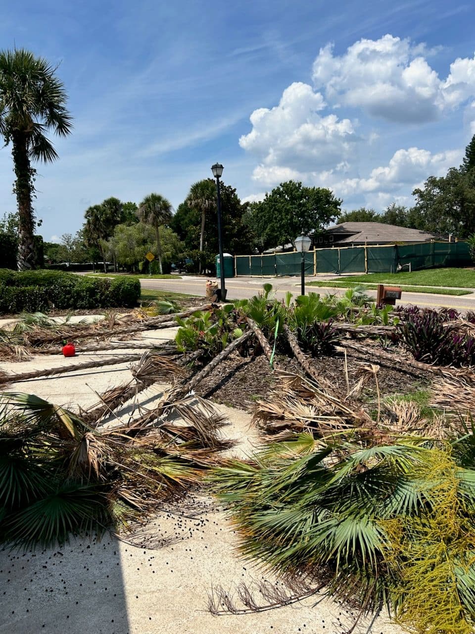 Golden Hour Landscaping Cleans Up Orlando Yards