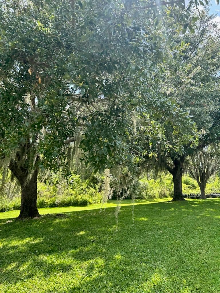 Project Transform Your Yard into a Green Paradise image