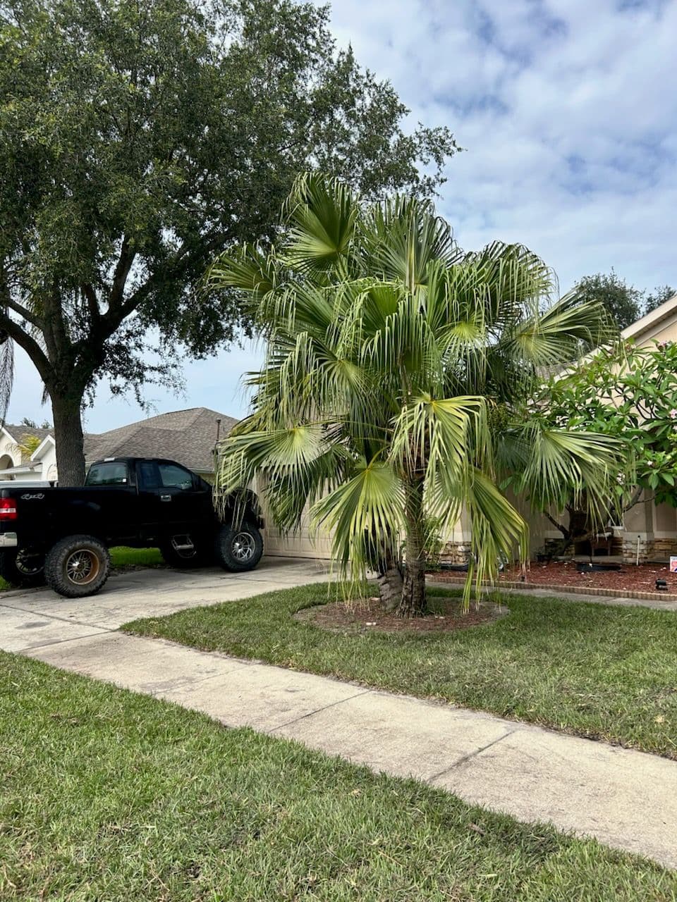 Project Vibrant Sod Transformation in Apopka FL image