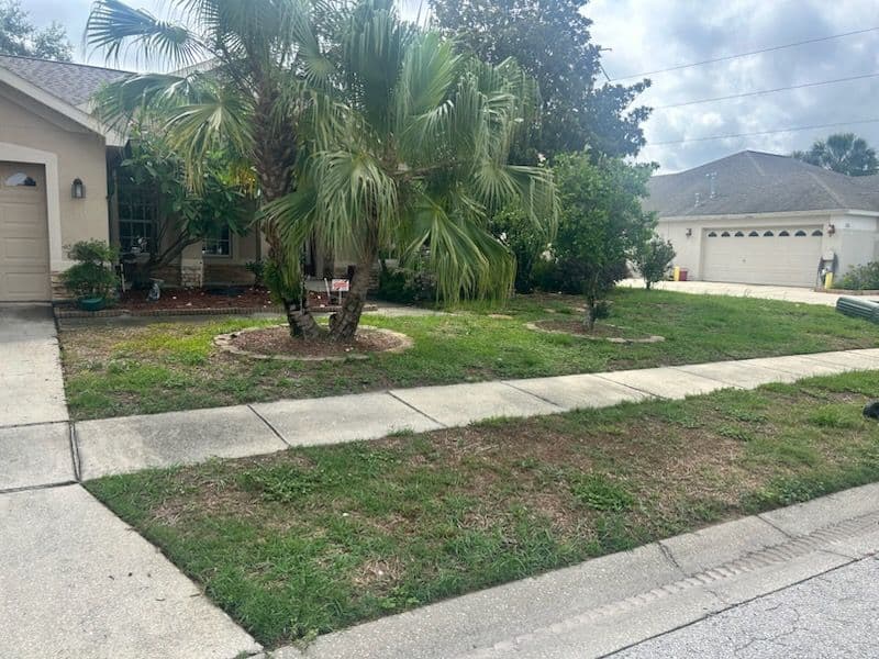 Project Revitalize Your Lawn with Expert Sod Installation image