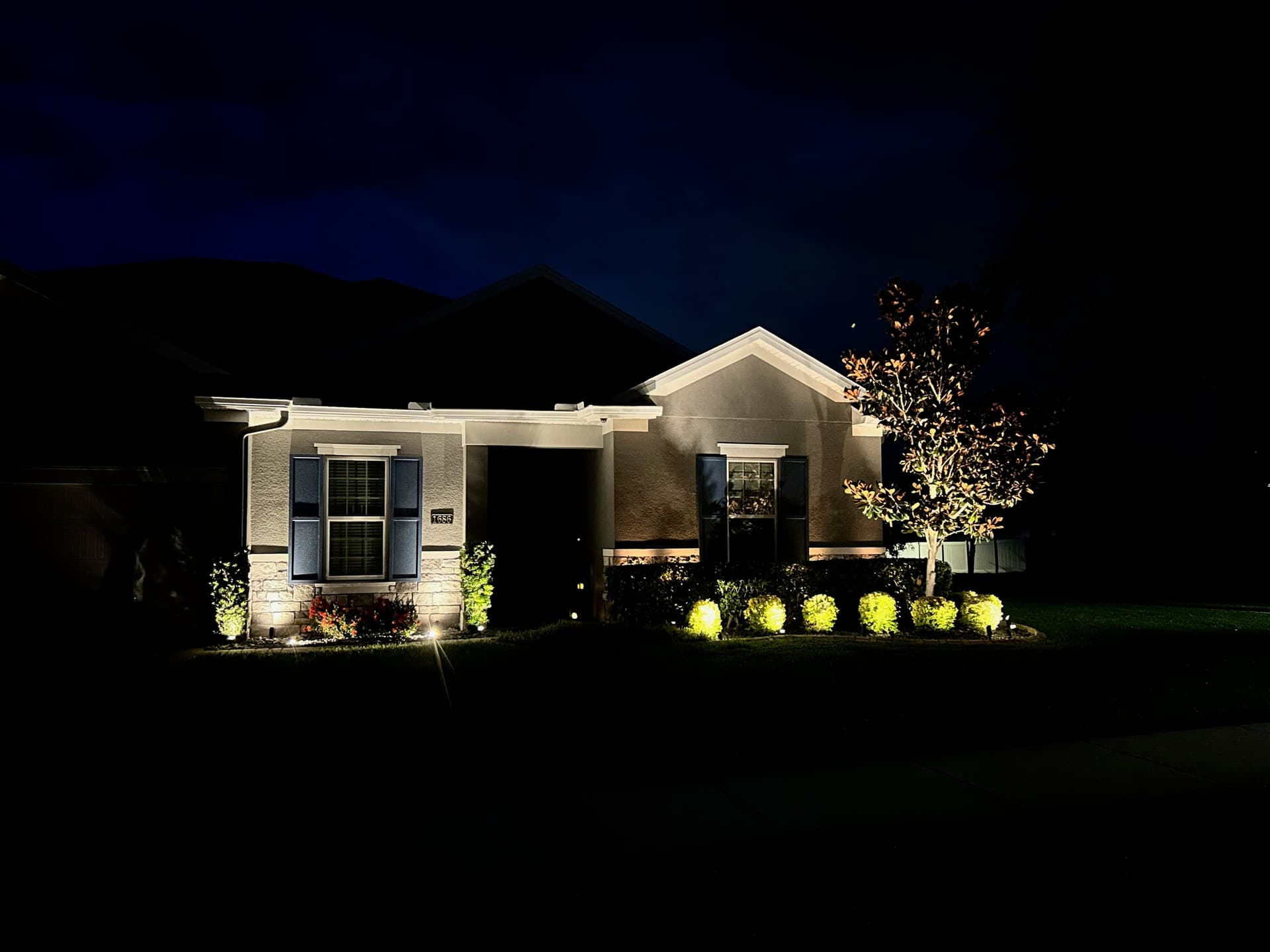 Landscape Lighting Magic in Winter Garden image