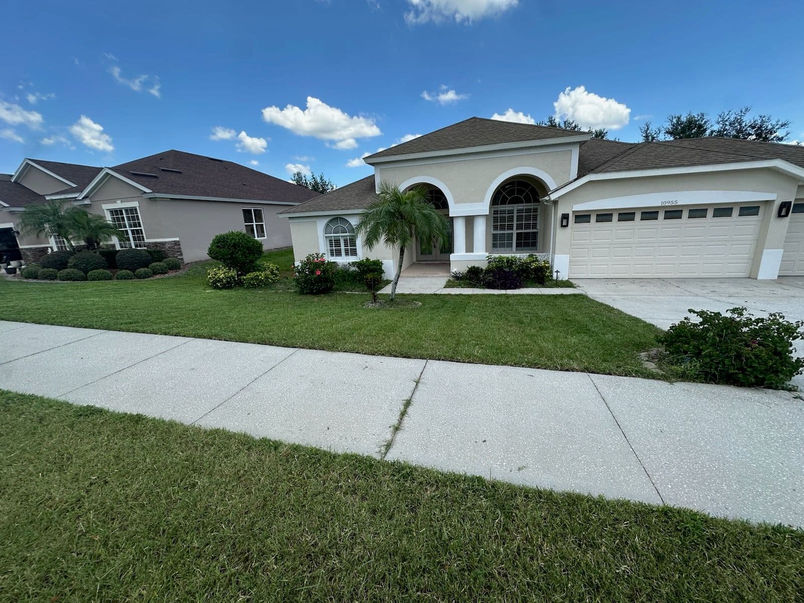 Wonderful Lawn Transformations in Florida image