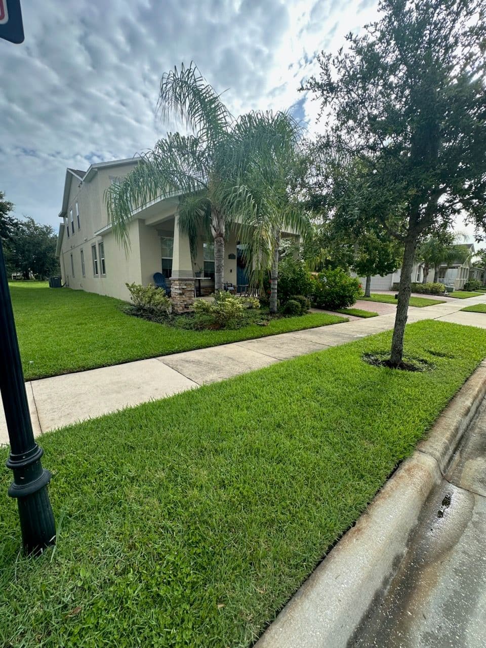 Tropical Landscaping for Orlando Homes image