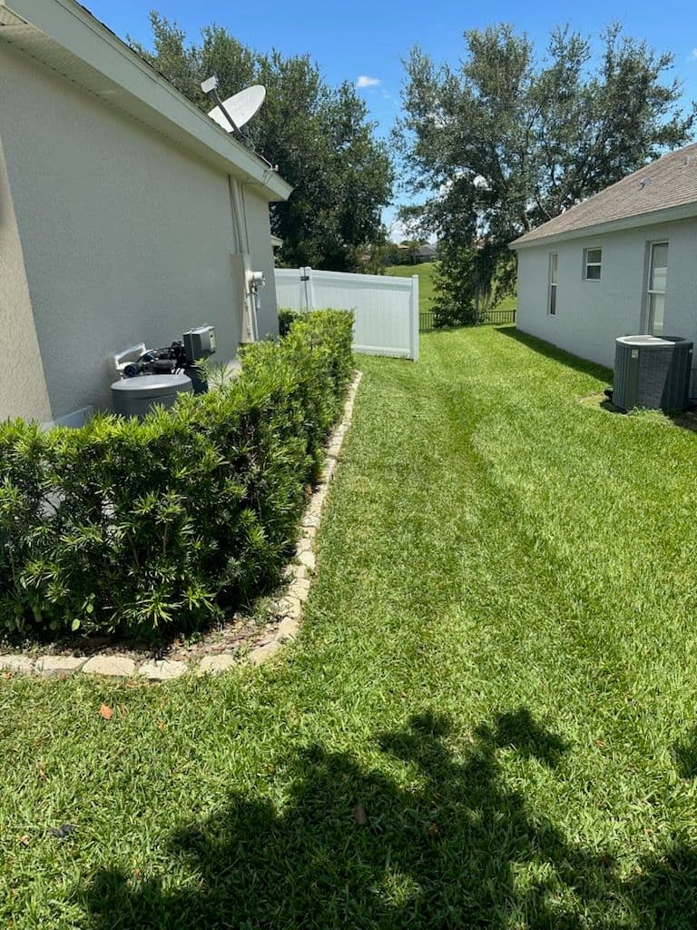 Side Yard Transformation by Golden Hour Landscaping image