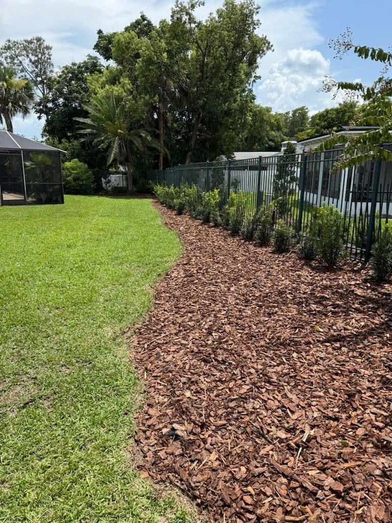 Backyard Oasis Transformation in Orlando image