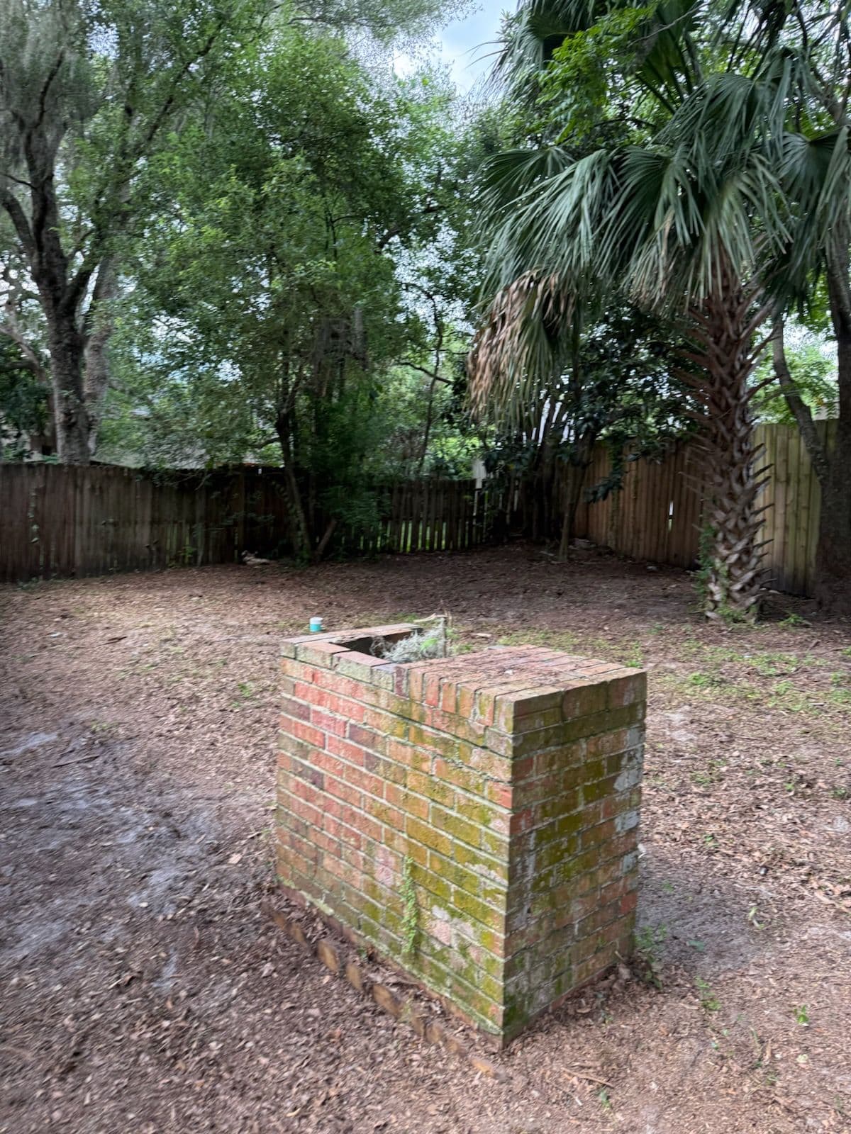 Transform Your Yard with Expert Land Clearing image