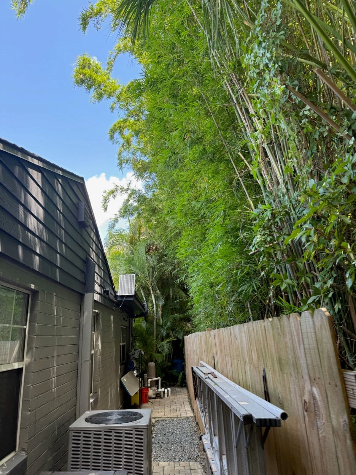 Enhance Your Home with Bamboo Wall Trimming image